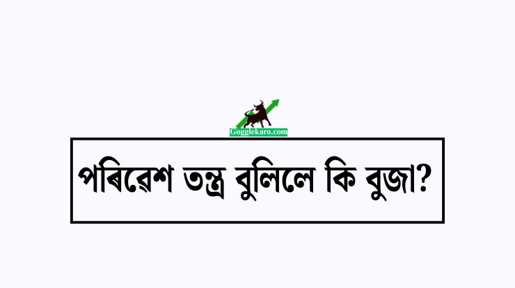 পৰিৱেশ তন্ত্ৰ বুলিলে কি বুজা?